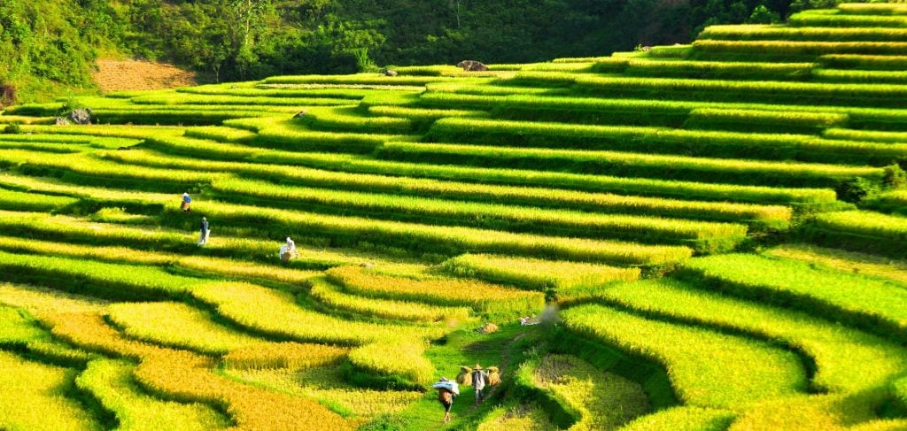 Ruộng bậc thang bản Báng - thắng cảnh nổi bật ở Thanh Hóa | Phuotvivu